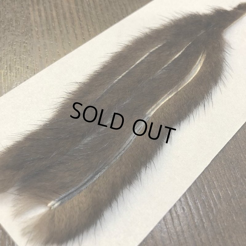 画像2: 【CANAL】 MINK ZONKER (2)