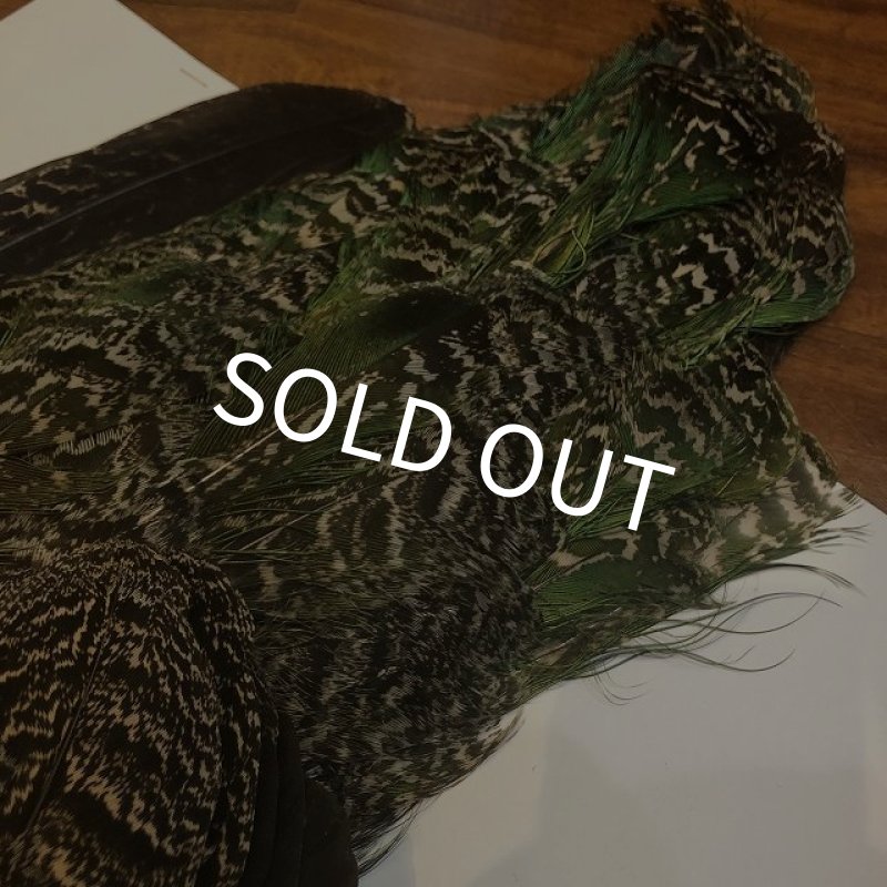 画像7: 【CANAL】 PEACOCK YOUNG COMPLETE (7)