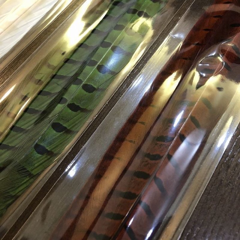 画像3: 【ANGLE】COCK PHEASANT CENTER TAIL(ダイドカラー) (3)