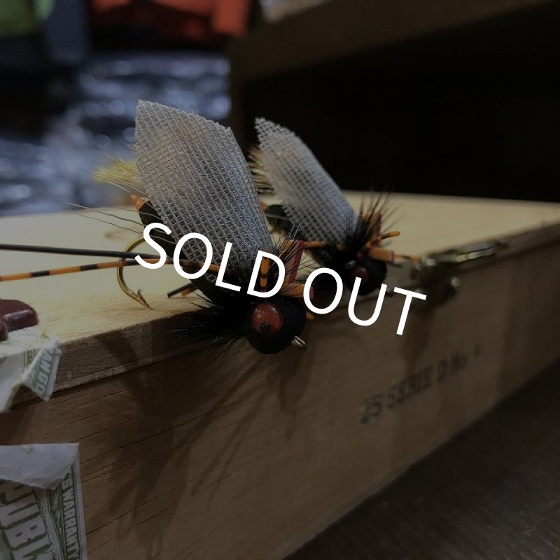 画像1: 【Rainy's】 Ultimate Cicada (1)