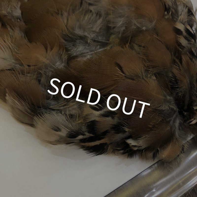 画像2: 【CANAL】 フレンチパートリッジ コンプリート (2)