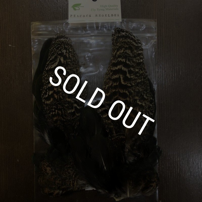 画像1: 【CANAL】 PEACOCK SHOULDER (1)