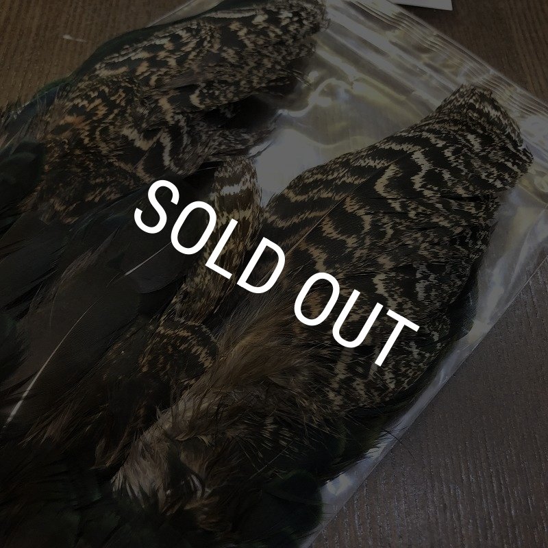 画像3: 【CANAL】 PEACOCK SHOULDER (3)