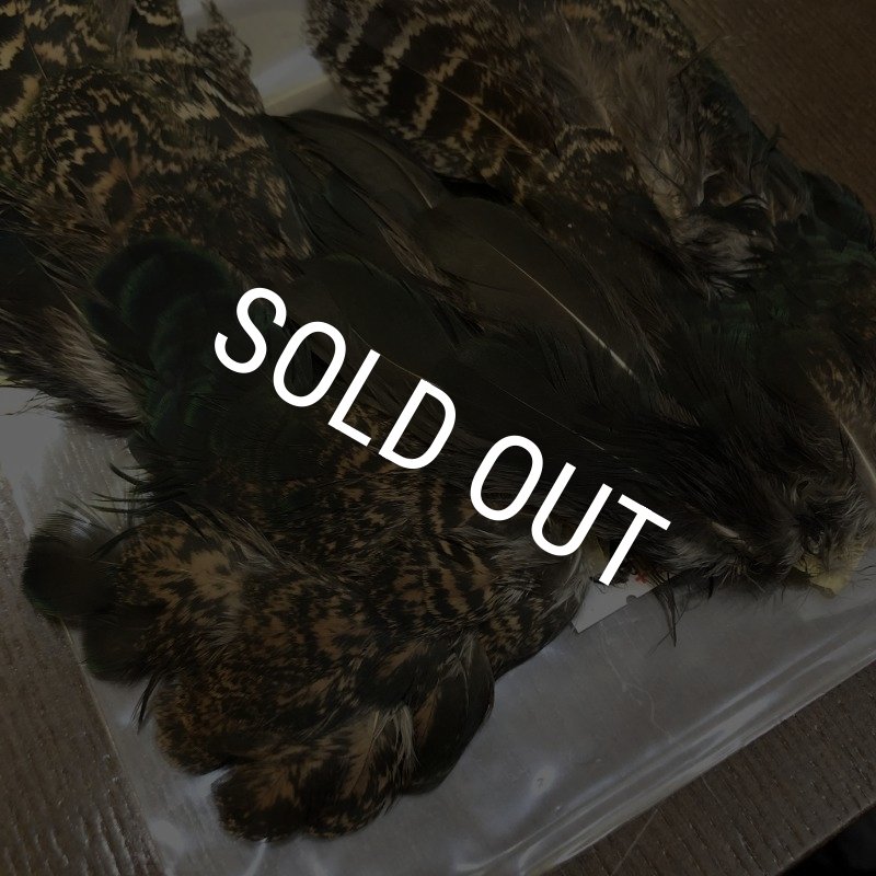 画像2: 【CANAL】 PEACOCK SHOULDER (2)