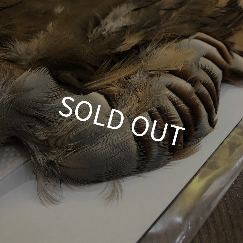 画像3: 【CANAL】 フレンチパートリッジ コンプリート (3)