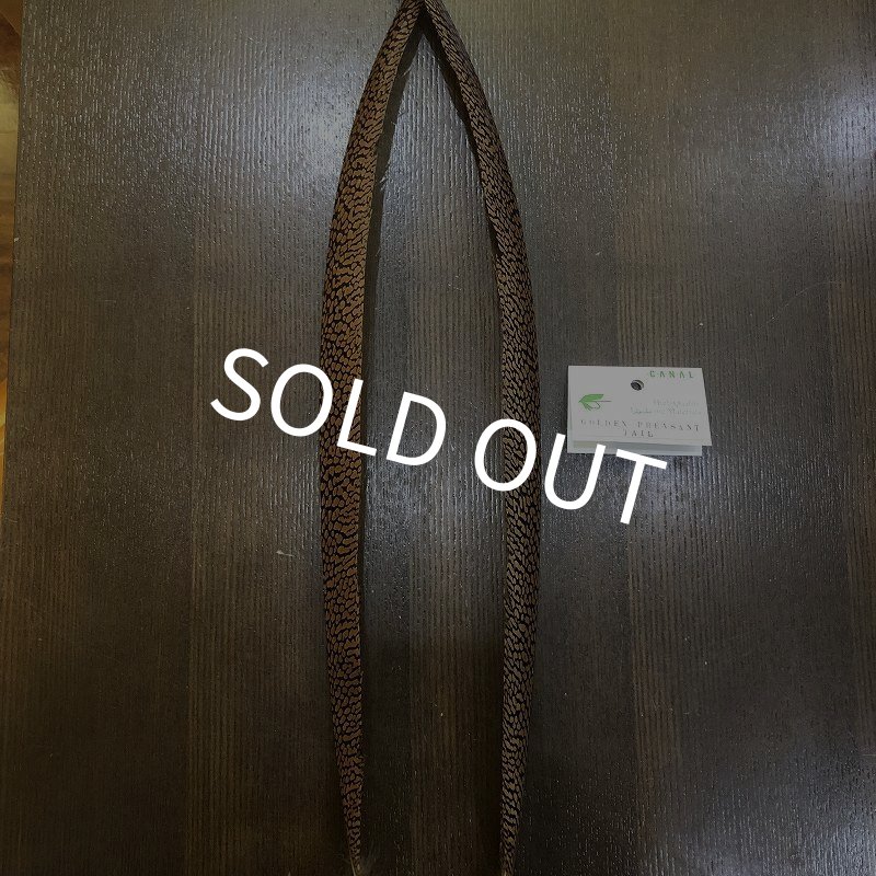 画像1: 【CANAL】Golden Pheasant Tail(1ペア) (1)