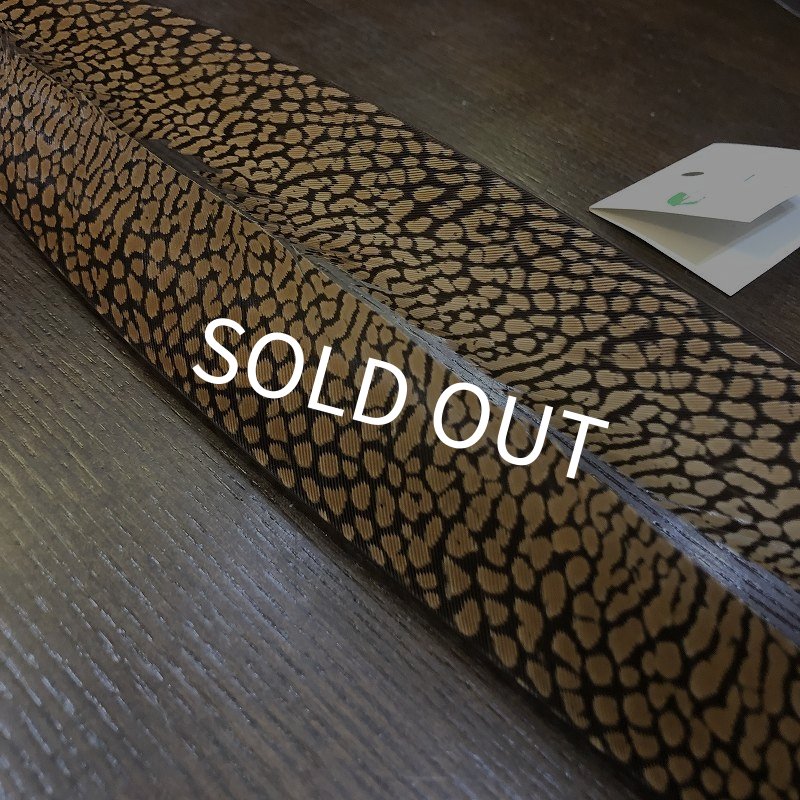 画像2: 【CANAL】Golden Pheasant Tail(1ペア) (2)