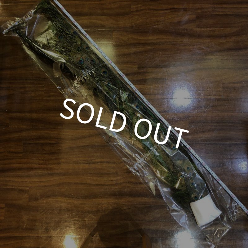 画像12: 【CANAL】 PEACOCK COMPLETE (12)