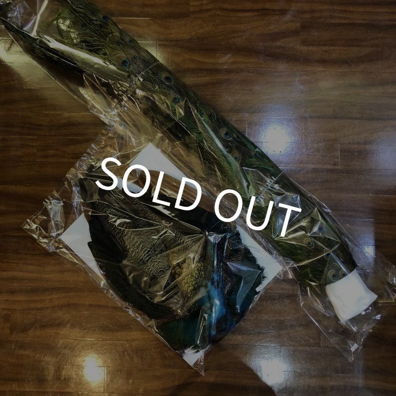 画像1: 【CANAL】 PEACOCK COMPLETE (1)