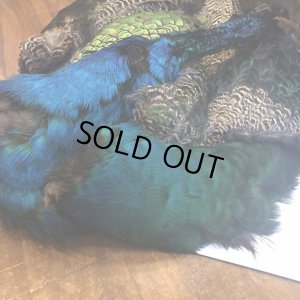 画像5: 【CANAL】 PEACOCK COMPLETE