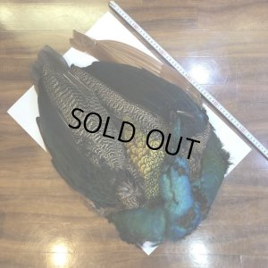 画像2: 【CANAL】 PEACOCK COMPLETE