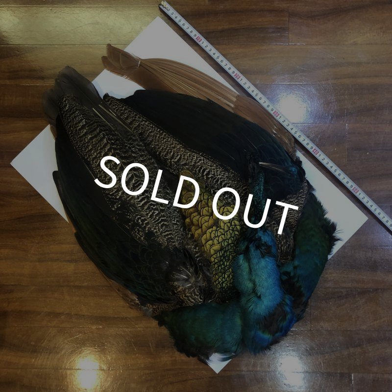 画像2: 【CANAL】 PEACOCK COMPLETE (2)