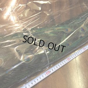 画像14: 【CANAL】 PEACOCK COMPLETE