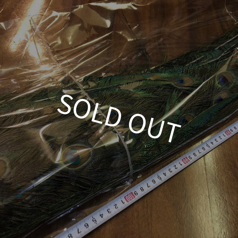 画像14: 【CANAL】 PEACOCK COMPLETE (14)