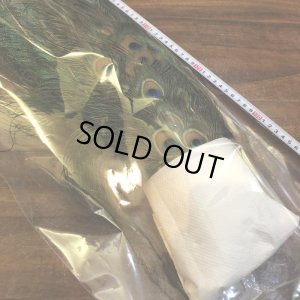 画像13: 【CANAL】 PEACOCK COMPLETE