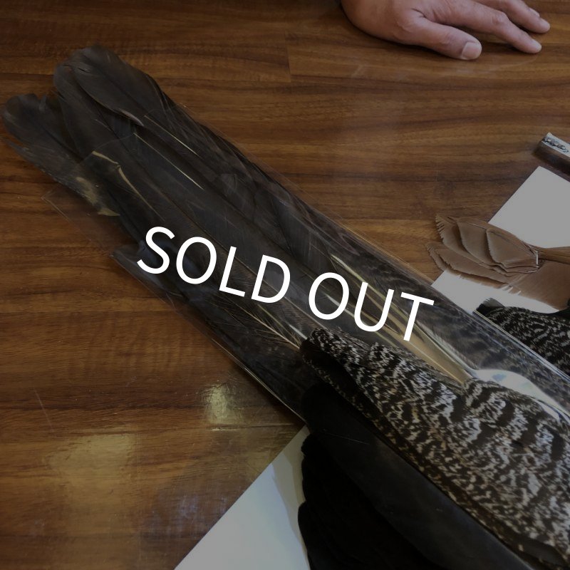 画像11: 【CANAL】 PEACOCK COMPLETE (11)