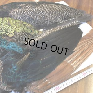 画像8: 【CANAL】 PEACOCK COMPLETE