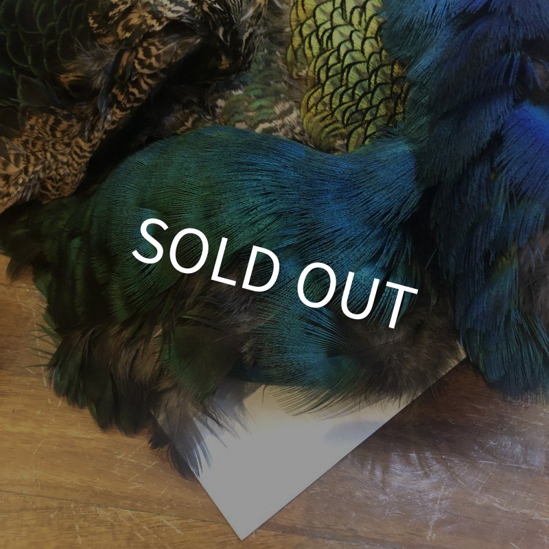 画像4: 【CANAL】 PEACOCK COMPLETE (4)