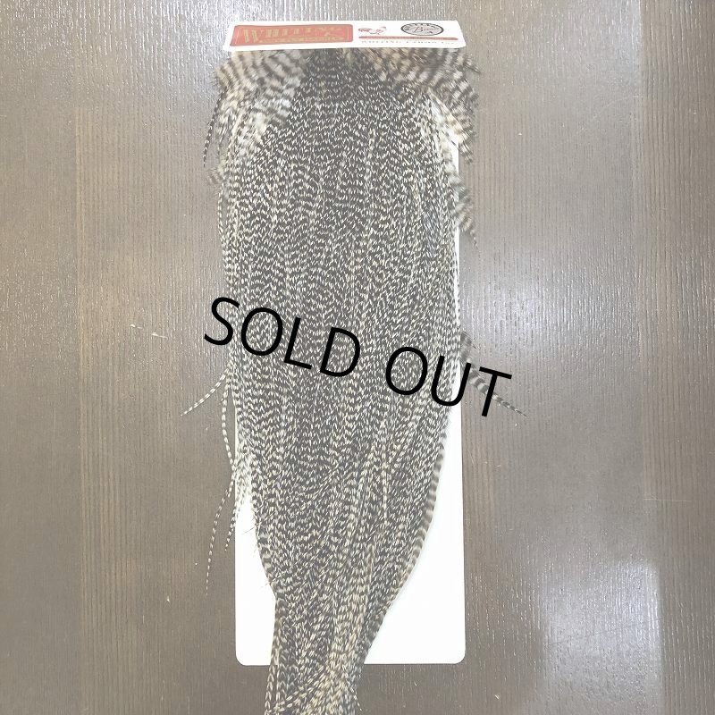 画像1: 【WHITING】 ROOSTER SADDLE BronzeGrade Grizzly #14-16 No.1 (1)