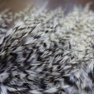 画像3: 【WHITING】American streamer pack