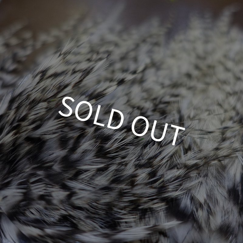 画像3: 【WHITING】American streamer pack (3)