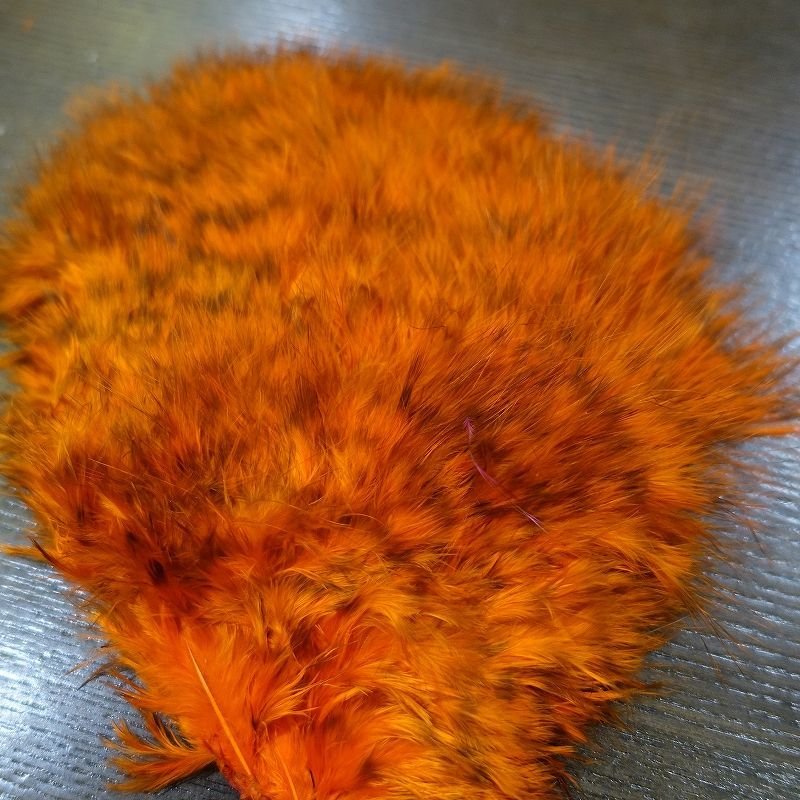 画像3: 【WHITING】Super Bou (3)