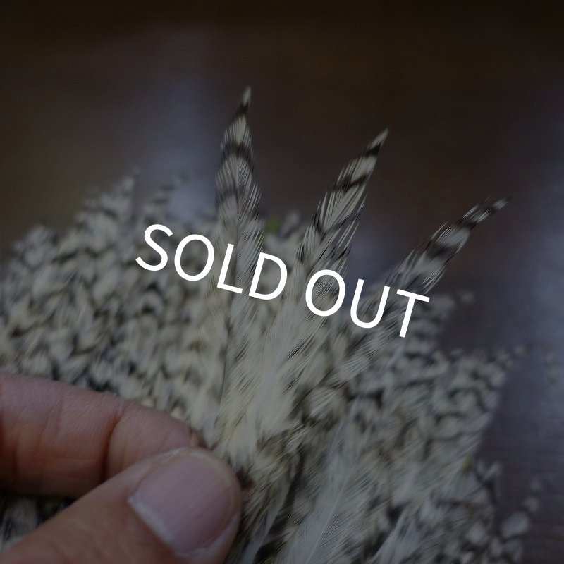 画像2: 【WHITING】American streamer pack (2)