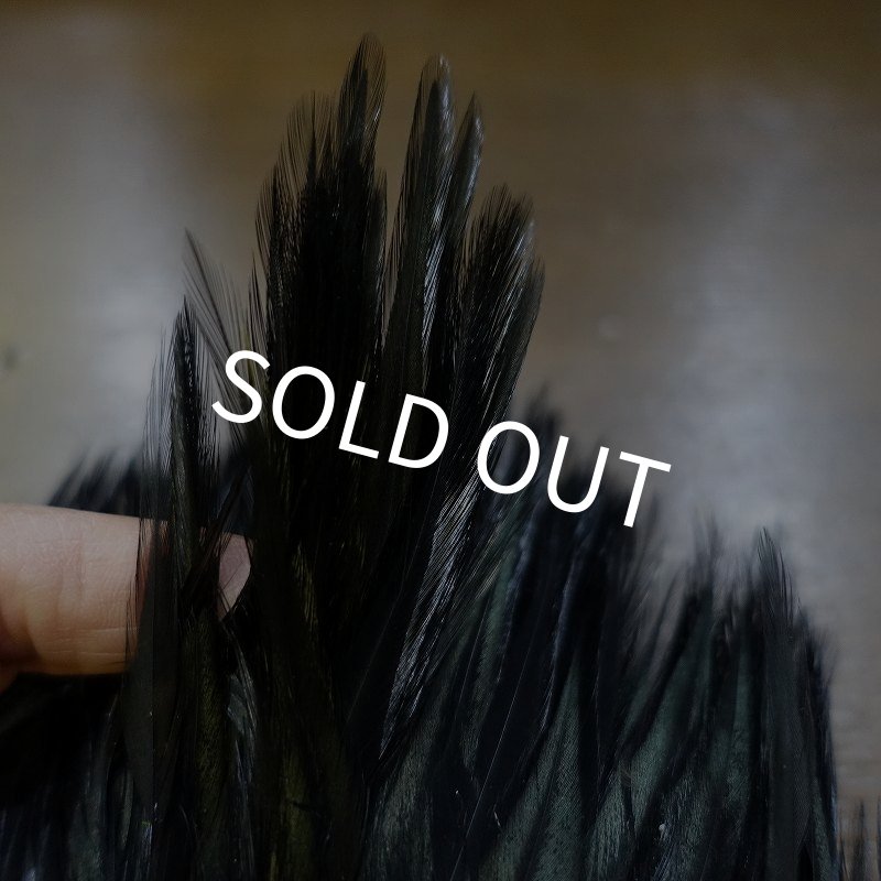 画像5: 【WHITING】American streamer pack (5)