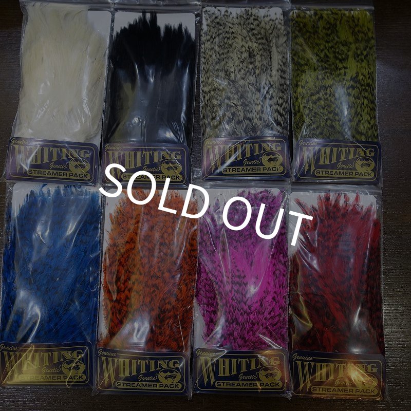 画像1: 【WHITING】American streamer pack (1)