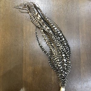 画像2: 【WHITING】 SCHLAPPEN BUNDLE 10"-14"(GRIZZLY)