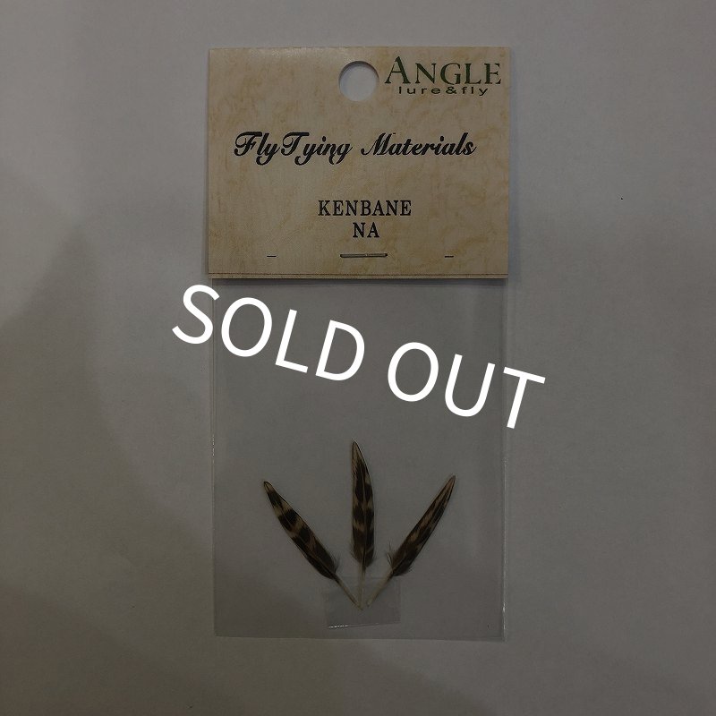 画像1: 【ANGLE】 剣羽 ケンバネ (1)