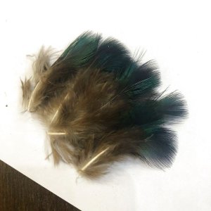 画像2: 【ANGLE】PEACOCK GREEN FLANK