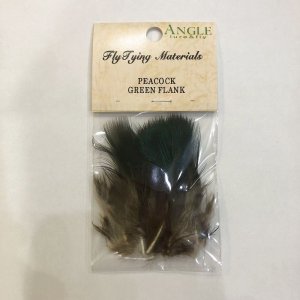 画像1: 【ANGLE】PEACOCK GREEN FLANK