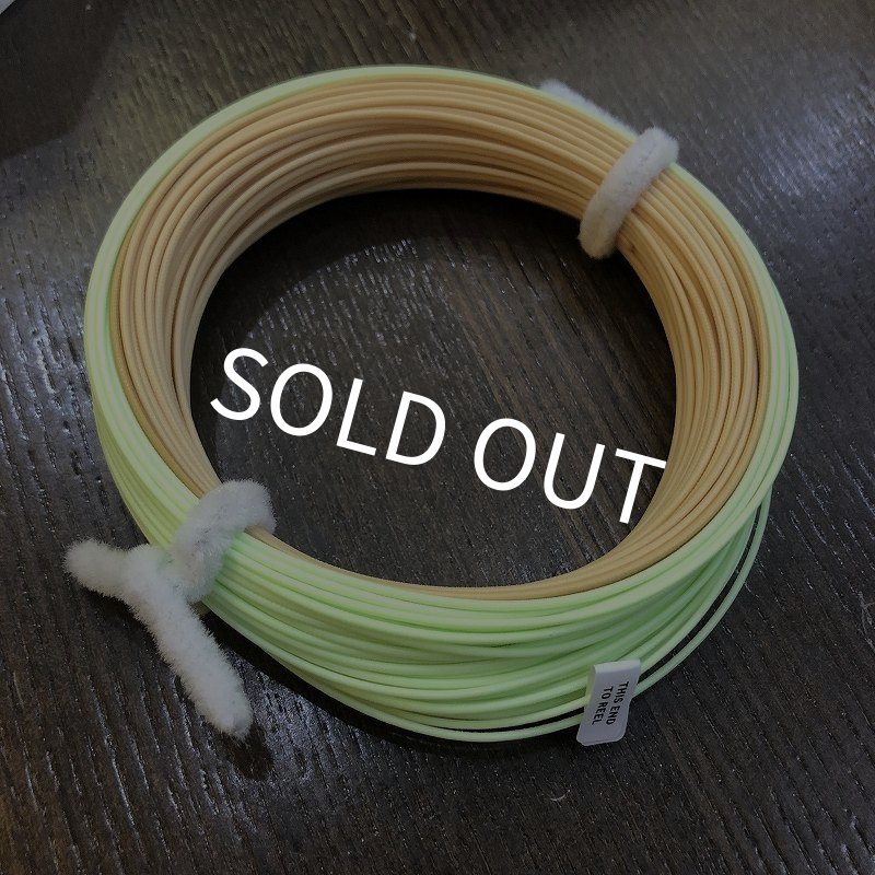 画像2: 【SA】アンプリチュード ダブルテーパー (2)