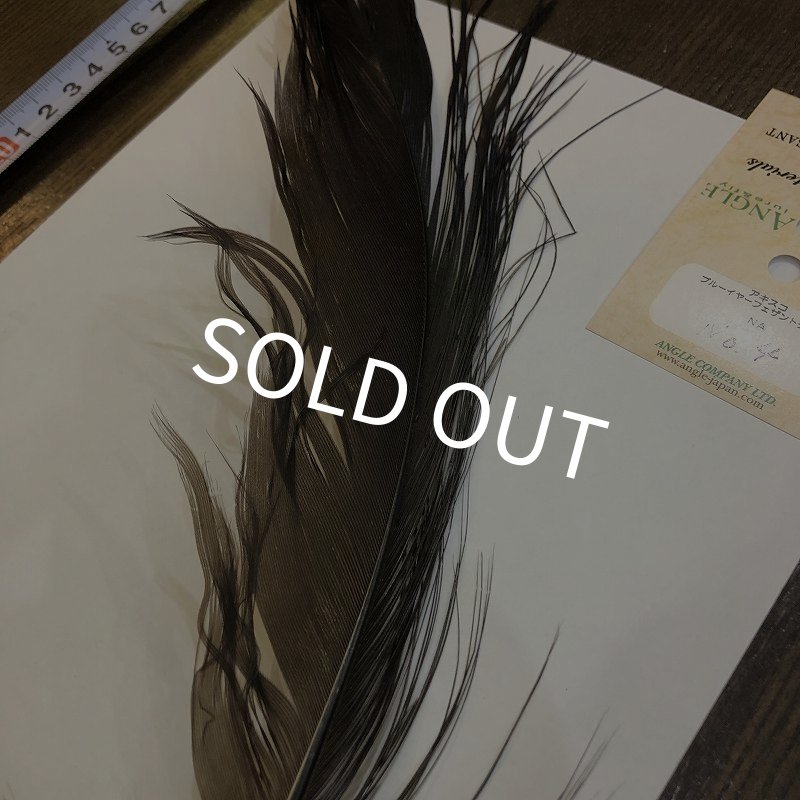 画像2: 【ANGLE】 BlueEared Pheasant tail Lサイズ No.4 (2)