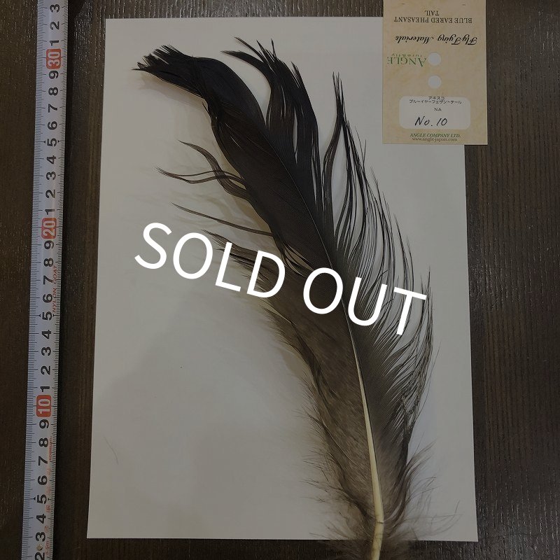 画像1: 【ANGLE】 BlueEared Pheasant tail Lサイズ No.10 (1)