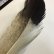 画像3: 【ANGLE】 BlueEared Pheasant tail Mサイズ (3)