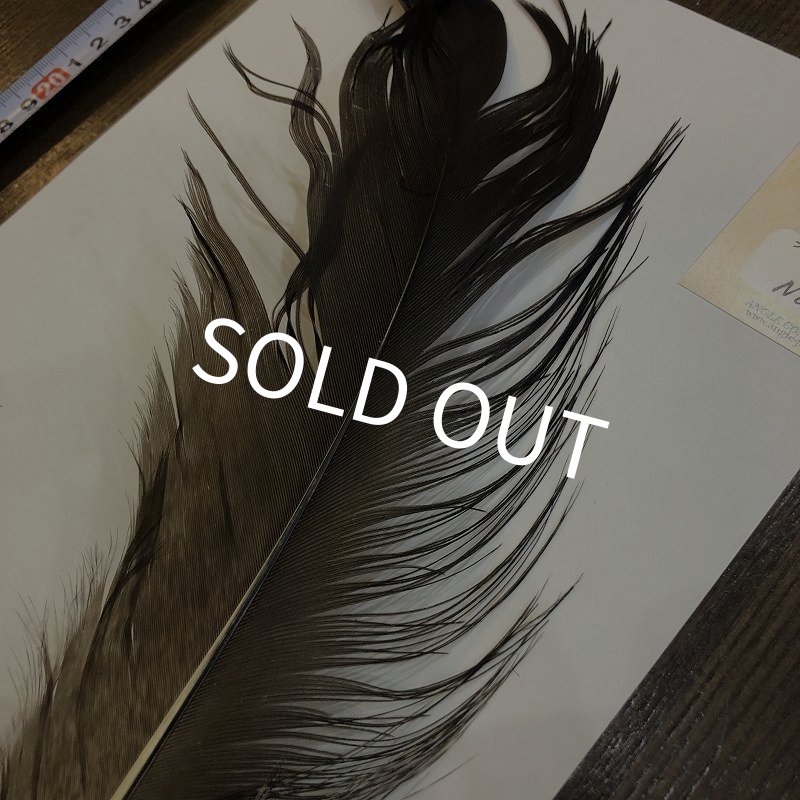 画像2: 【ANGLE】 BlueEared Pheasant tail Lサイズ No.10 (2)