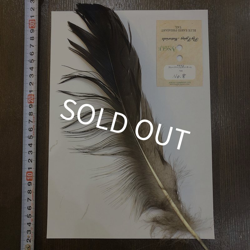 画像1: 【ANGLE】 BlueEared Pheasant tail Lサイズ No.8 (1)