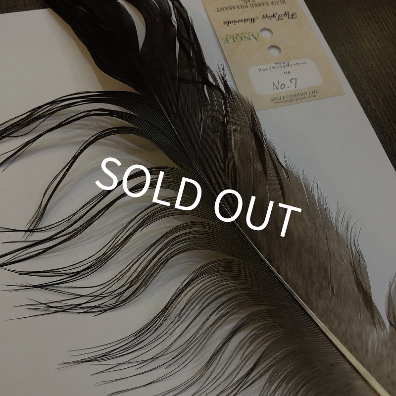 画像2: 【ANGLE】 BlueEared Pheasant tail Lサイズ No.7 (2)