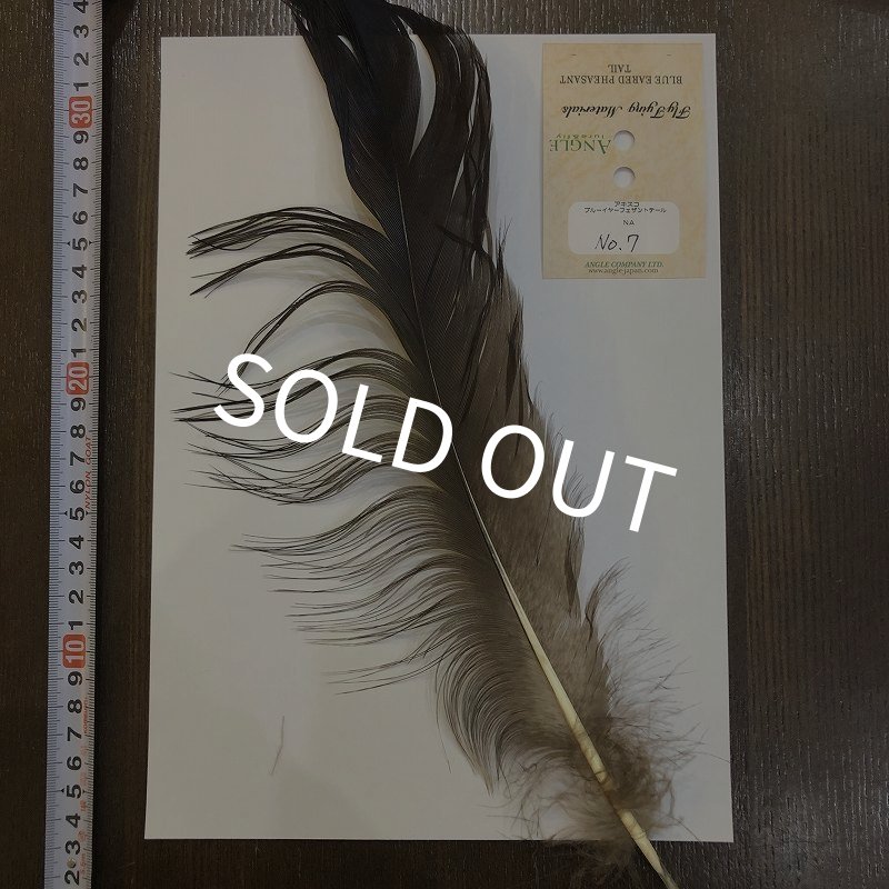 画像1: 【ANGLE】 BlueEared Pheasant tail Lサイズ No.7 (1)