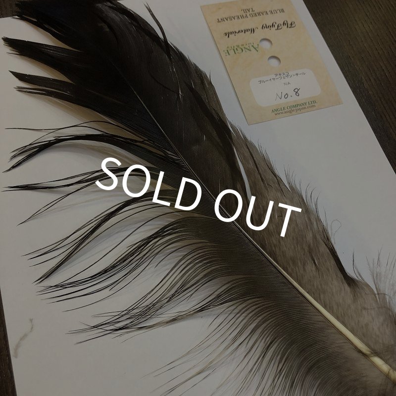 画像2: 【ANGLE】 BlueEared Pheasant tail Lサイズ No.8 (2)