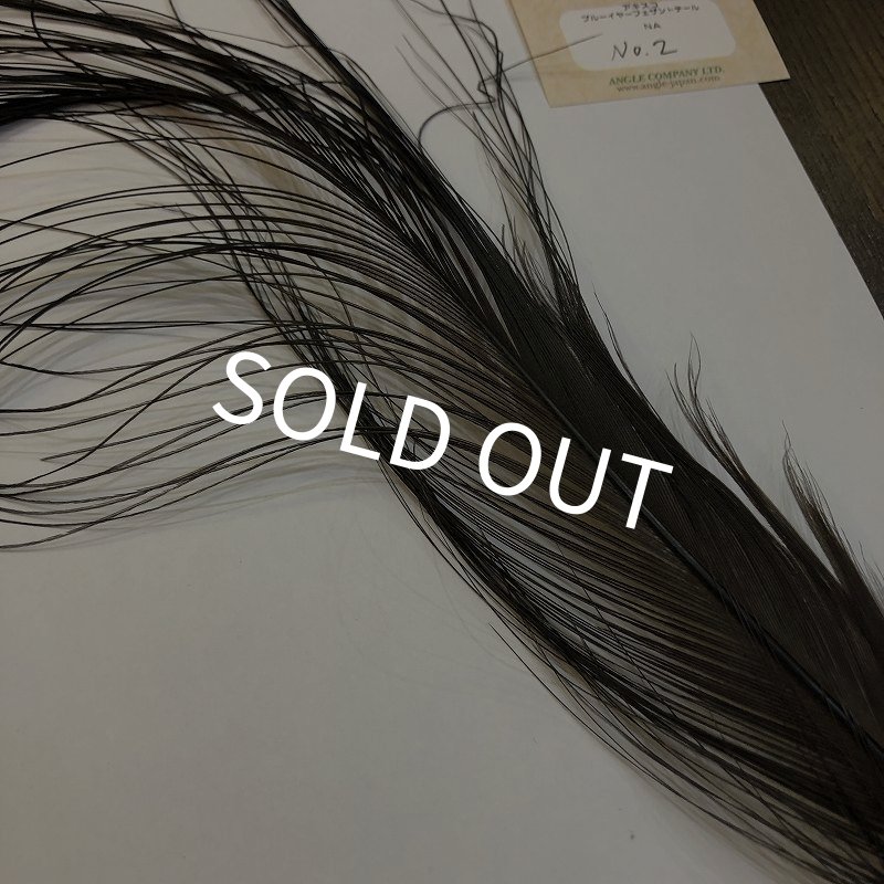 画像2: 【ANGLE】 BlueEared Pheasant tail Lサイズ No.2 (2)