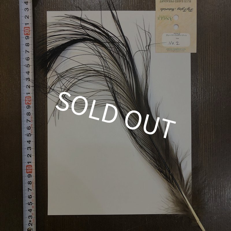 画像1: 【ANGLE】 BlueEared Pheasant tail Lサイズ No.2 (1)