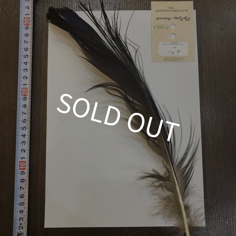 画像1: 【ANGLE】 BlueEared Pheasant tail Lサイズ No.4 (1)