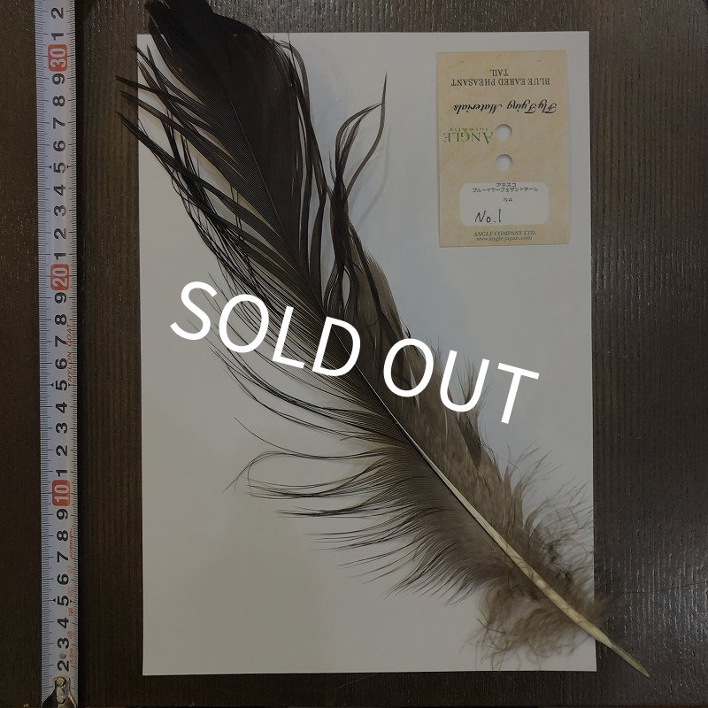 画像1: 【ANGLE】 BlueEared Pheasant tail Lサイズ No.1 (1)