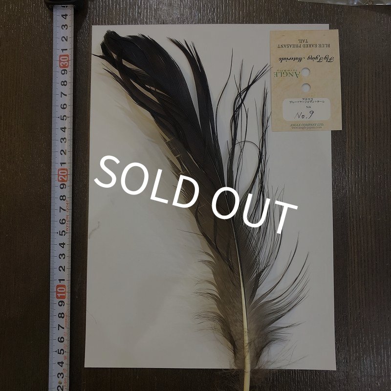 画像1: 【ANGLE】 BlueEared Pheasant tail Lサイズ No.9 (1)