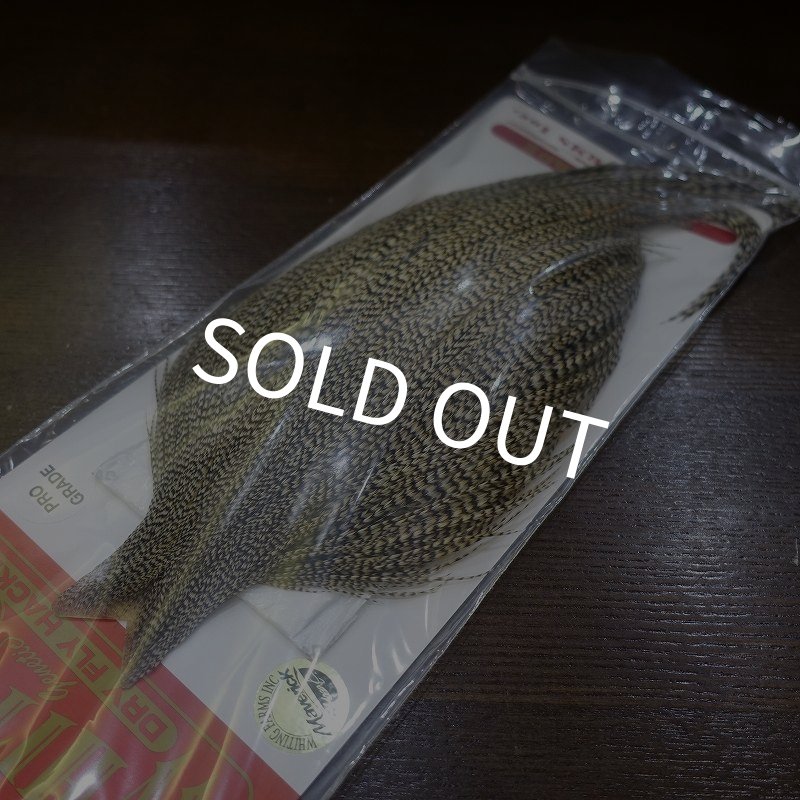 画像1: 【WHITING】 Pro Grade Grizzly (1)