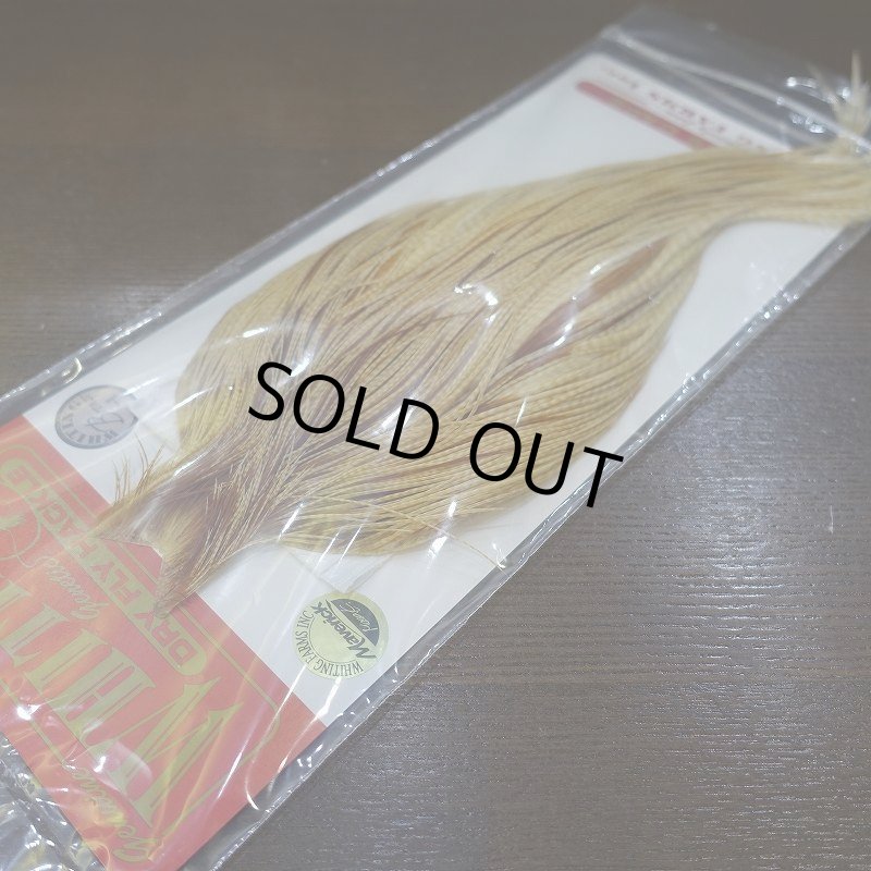 画像1: 【WHITING】 Bronze Grade Cape Barred Medium Ginger (1)