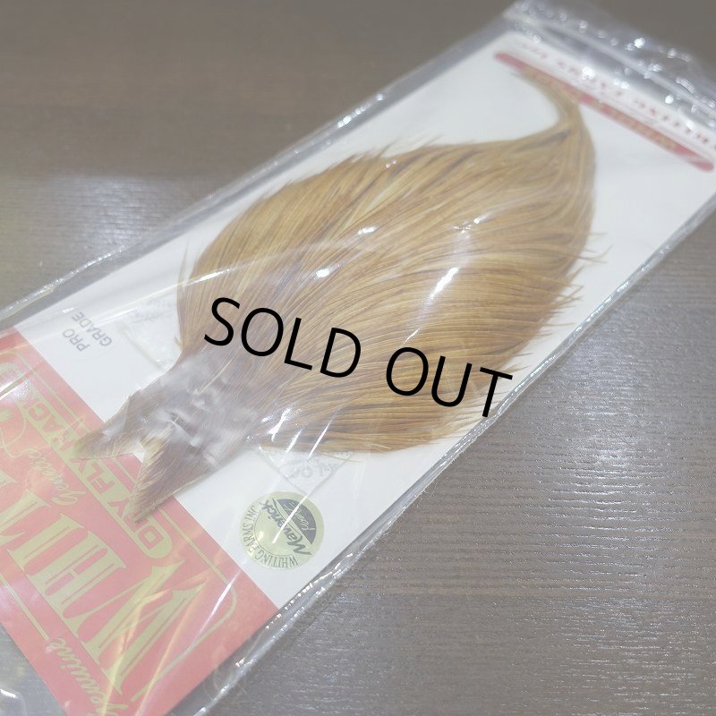 画像1: 【WHITING】 Pro Grade Medium ginger (1)